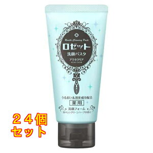 [bg pX^ ANlNA 120g×24