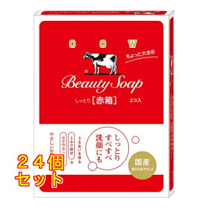 JEuh Ƃ Ԕ Ƒ傫 125g×2R×24