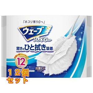 EF[u nfBCp[ ւV[g  12×12