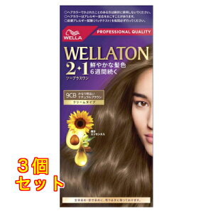 HFCvXe[WWp EGg[2{1 N[^Cv 9CB Ȃ薾邢i`uE×3