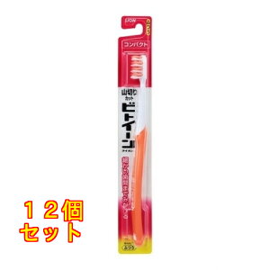 rgC[RpNg ӂF̎ws×12