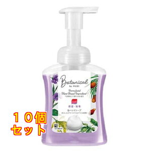 ~[Y p Anh\[v {^jJ { {g 250mL×10