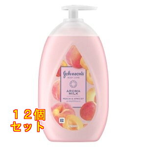 W\{fBPA XeBOCX`[A}~N 500mL×12