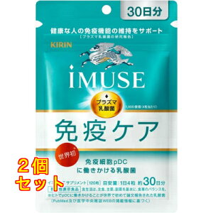 iMUSE C~[Y ƉuPATvg 120 30×2