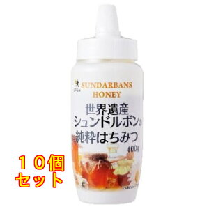 EYVh{݂̏͂ 400g×10