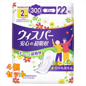 EBXp[ S̒z zPA Apbh AƂpbh 300cc 22×4