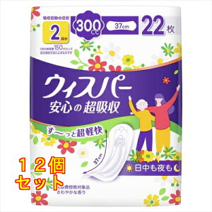 EBXp[ S̒z zPA Apbh AƂpbh 300cc 22×12