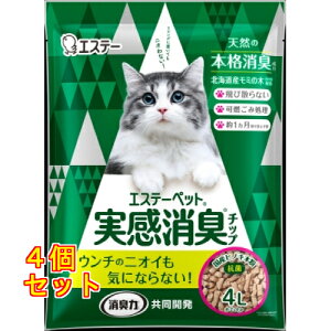 GXe[ GXe[ybg L`bv LpVXegC 4L×4