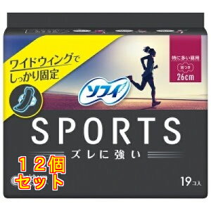 \tB SPORTS 260 H19×12