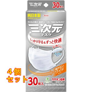 O}XN 傫 LTCY zCg 30×4