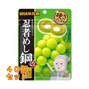 忍者めし鋼 マスカット味 45g×40個