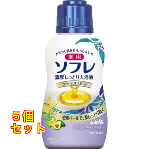 p\t@ZƂt@zCgt[̍@480mL×5