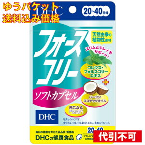 �䂤�p�P�b�g�jDHC�@�t�H�[�X�R���[�\�t�g�J�v�Z���@20�� 4511413405529