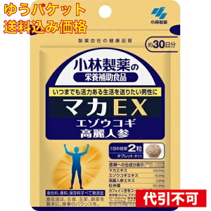 �y�䂤�p�P�b�g�������݁z�}�JEX 60��