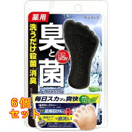 フットメジ 薬用フットソープ 爽快ミント×6個