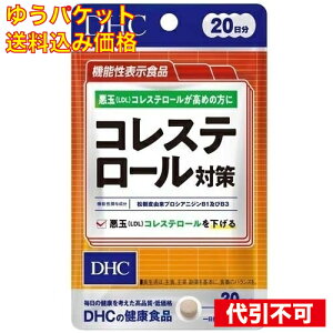 �䂤�p�P�b�g�jDHC �R���X�e���[���΍� 20���� 40����