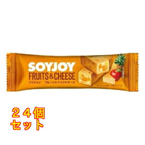 �\�C�W���C �t���[�c���x�C�N�h�`�[�Y 32g×24��