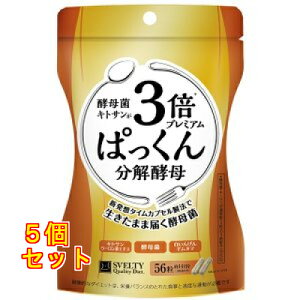 3{ς񕪉y 56×5