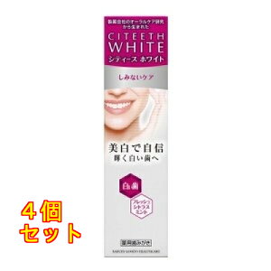 VeB[XzCg ݂ȂPA 110g×4