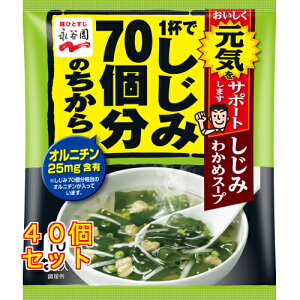 iJ 70 ݂킩߃X[v  12g×40