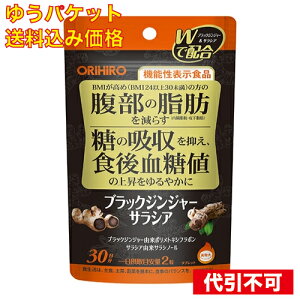 y䂤pPbg݁z@\\Hi ubNWW[TVA 15g 60