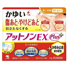 【第2類医薬品】 アットノンEX かゆみ止めプラス 10g