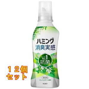 n~O L tbVO[̍ { 510ml×12