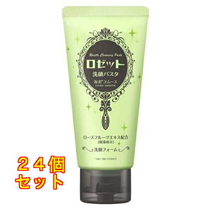 [bg pX^ CDX[X 120g×24