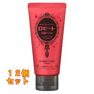 [bg pX^ bhN 120g×12