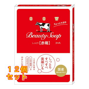 JEuh Ƃ Ԕ Ƒ傫 125g×2R×12