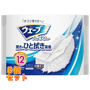 EF[u nfBCp[ ւV[g  12×8