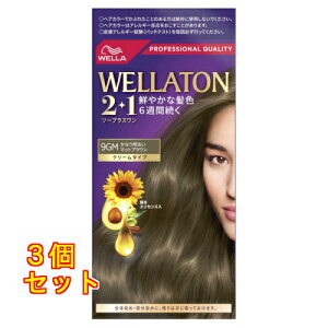 HFCvXe[WWp EGg[2{1 N[^Cv 9GM Ȃ薾邢}bguE×3