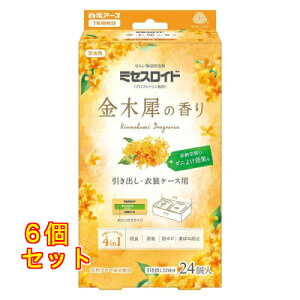 ~ZXCh op 1Nh ؍҂̍ 24×6