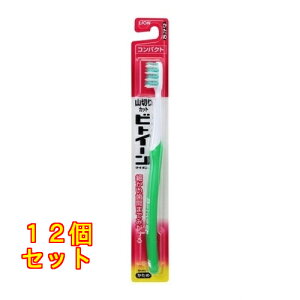 rgC[RpNg ߁F̎ws×12