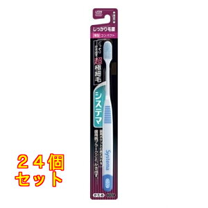 VXe}nuV эRpNg ߁F̎ws×24