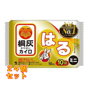 ˊDJC ͂^Cv ~j 10×24