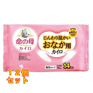̕JC 艷ȂpJC 10×12