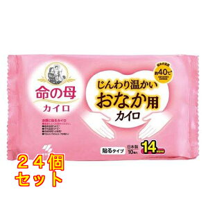 ̕JC 艷ȂpJC 10×24