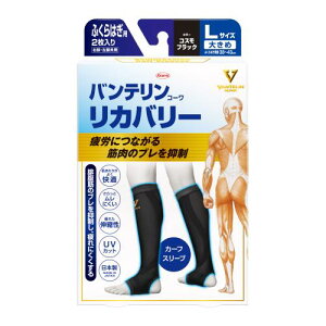 a oeR[ Jo[ J[tX[u LTCY RXubN ӂ͂p 2