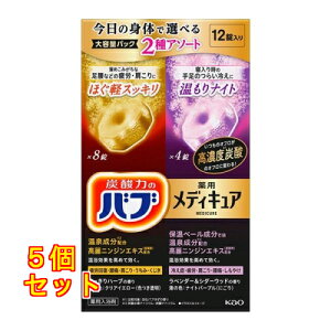 y򕔊Oiz ou fBLA A\[g 2 12×5