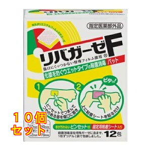 ʐ oK[[F EۏŃpbg 12×10