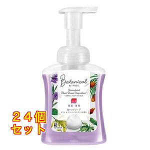 ~[Y p Anh\[v {^jJ { {g 250mL×24