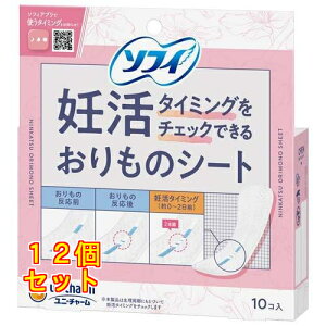 \tB D^C~O`FbNł邨̃V[g 10×12