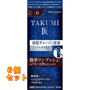 Y rQ TAKUMI  6 _[NuE jp×6
