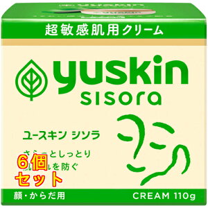 ���[�X�L�� �V�\�� �N���[�� �{�g�� 110g×6��