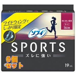 \tB SPORTS 260 H19×6