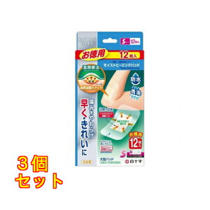 \ FCCXgq[Opbh S p 12×3