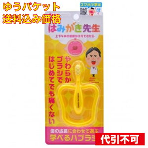 y䂤pPbg݁z݂͂搶 xr[OuV 1{ F͂Iт܂