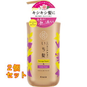  _[WyAJ[PA Vv[ |v 480ml×2