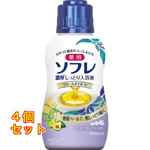 p\t@ZƂt@zCgt[̍@480mL×4